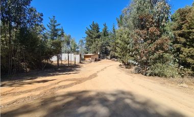 CURAUMA / CAMINO LA POLVORA / 10.400 M2