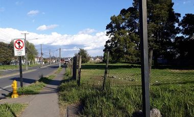 Sitio en Venta en Sector Sor Vicenta