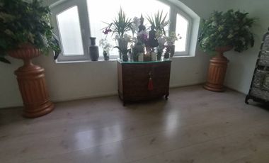 SUECIA/ GRAL HOLLEY /  METRO LOS LEONES