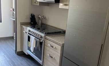 DEPARTAMENTO AMUEBLADO RENTA EL DESEO SAN MIGUEL DE ALLENDE PLANTA BAJA 2 REC