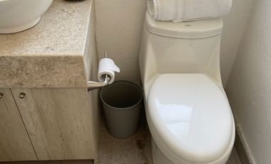 DEPARTAMENTO AMUEBLADO RENTA EL DESEO SAN MIGUEL DE ALLENDE PLANTA BAJA 2 REC