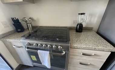 DEPARTAMENTO AMUEBLADO RENTA EL DESEO SAN MIGUEL DE ALLENDE PLANTA BAJA 2 REC