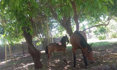 Casa en Venta en Popeta, Rengo