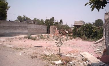 TERRENO  EN RENTA TEXCOCO