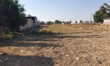 TERRENO  EN RENTA TEXCOCO