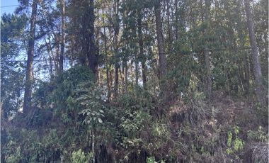 SE VENDE TERRENO EN CERRO AZUL (URBANIZACIÓN LAS NUBES)