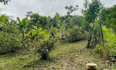 finca en venta en via alcala. Cod V17973
