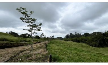 VENTA DE FINCA EN FILANDIA, QUINDO, COLOMBIA