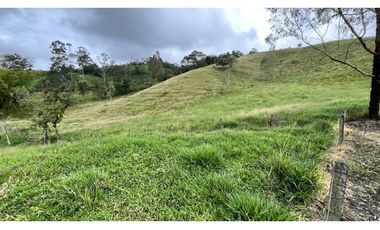 VENTA DE FINCA EN FILANDIA, QUINDO, COLOMBIA