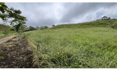 VENTA DE FINCA EN FILANDIA, QUINDO, COLOMBIA