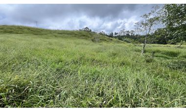 VENTA DE FINCA EN FILANDIA, QUINDO, COLOMBIA