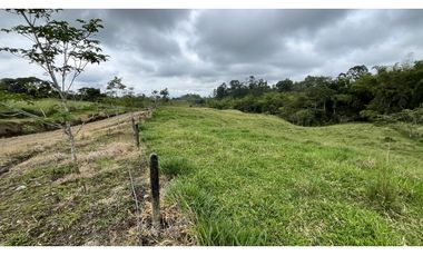 VENTA DE FINCA EN FILANDIA, QUINDO, COLOMBIA