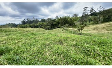 VENTA DE FINCA EN FILANDIA, QUINDO, COLOMBIA