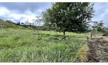 VENTA DE FINCA EN FILANDIA, QUINDO, COLOMBIA