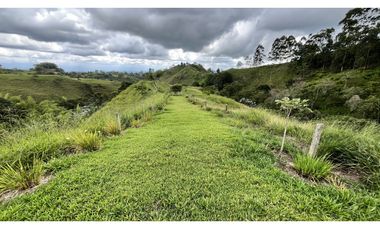 VENTA DE FINCA EN FILANDIA, QUINDO, COLOMBIA