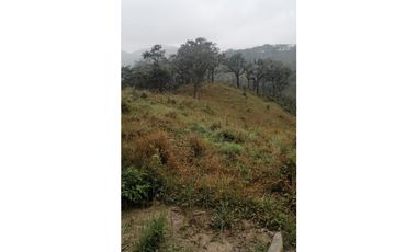 EXCELENTE RANCHO EN JULIAN GRAJALES JIQUIPILAS, CHIAPAS.