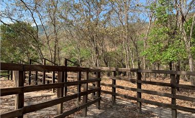 EXCELENTE RANCHO EN JULIAN GRAJALES JIQUIPILAS, CHIAPAS.