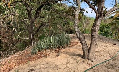 EXCELENTE RANCHO EN JULIAN GRAJALES JIQUIPILAS, CHIAPAS.