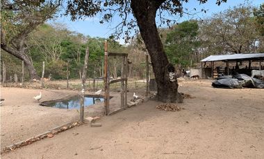 EXCELENTE RANCHO EN JULIAN GRAJALES JIQUIPILAS, CHIAPAS.