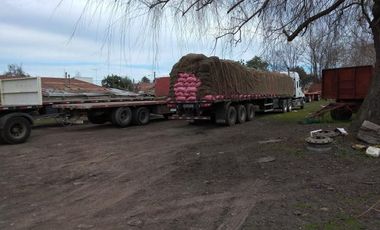 Sitio en venta en Villa Alegre