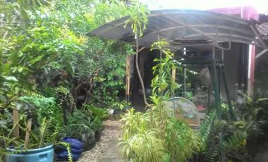 Perumahan Griyo Wage jl. Taruna wage-sepanjang-sidoarjo