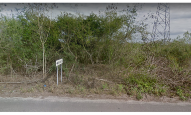 16 hectáreas Tizimín, Yucatán