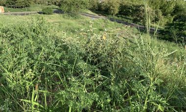 lote en venta en parcelación campestre laguna seca. Cod V107680