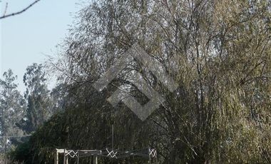 Parcela en Venta en Camino Carampangue, sector colegio Trebulco