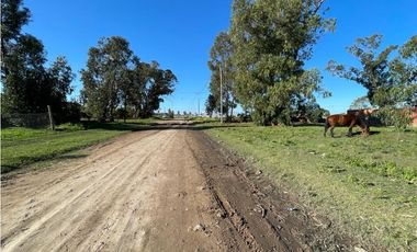 terreno sobre calle 48 y 93