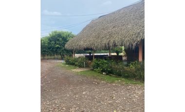 VENDO FINCA CON PISTA DE LAZO EN SANTA RITA