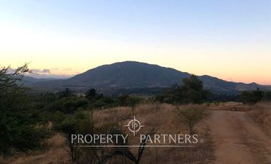 Cauquenes, campo ideal para viñedos