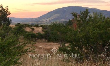 Cauquenes, campo ideal para viñedos