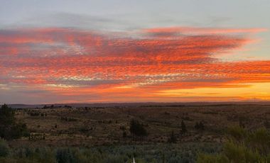 Cauquenes, campo ideal para viñedos