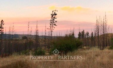 Cauquenes, campo ideal para viñedos