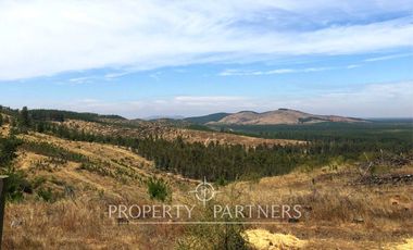 Cauquenes, campo ideal para viñedos