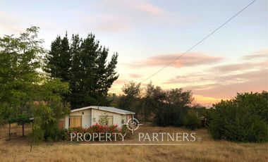 Cauquenes, campo ideal para viñedos