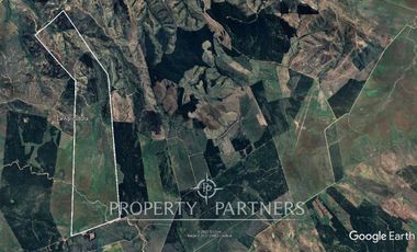 Cauquenes, campo ideal para viñedos