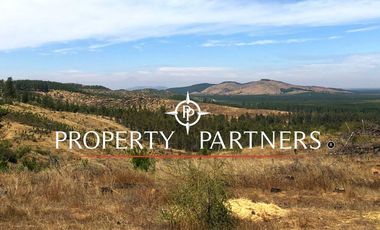 Cauquenes, campo ideal para viñedos