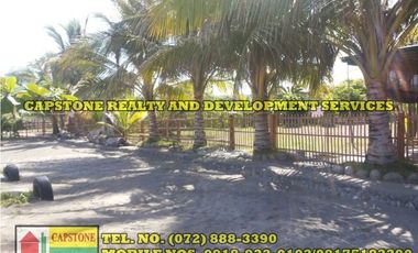 EXCLUSIVE: Serene Private Beach Front Resort in Bauang, LU
