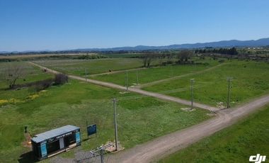 VENTA DE PARCELAS DE TERRENO EN SÉPTIMA REGIÓN DE CHILE