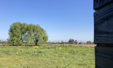 VENTA DE PARCELAS DE TERRENO EN SÉPTIMA REGIÓN DE CHILE