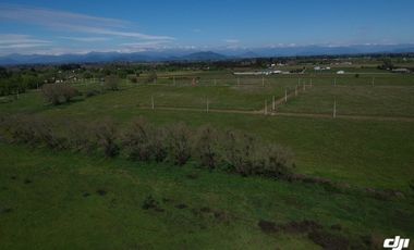 VENTA DE PARCELAS DE TERRENO EN SÉPTIMA REGIÓN DE CHILE