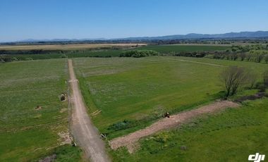 VENTA DE PARCELAS DE TERRENO EN SÉPTIMA REGIÓN DE CHILE