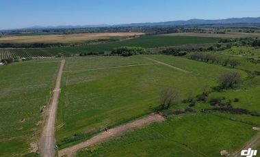VENTA DE PARCELAS DE TERRENO EN SÉPTIMA REGIÓN DE CHILE