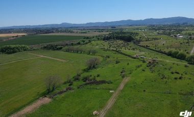 VENTA DE PARCELAS DE TERRENO EN SÉPTIMA REGIÓN DE CHILE