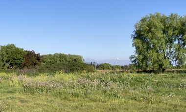 VENTA DE PARCELAS DE TERRENO EN SÉPTIMA REGIÓN DE CHILE