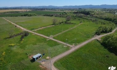 VENTA DE PARCELAS DE TERRENO EN SÉPTIMA REGIÓN DE CHILE
