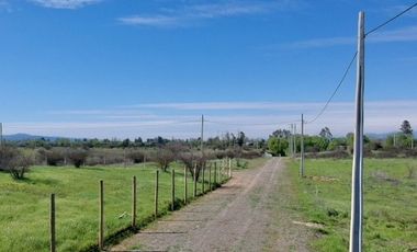 VENTA DE PARCELAS DE TERRENO EN SÉPTIMA REGIÓN DE CHILE