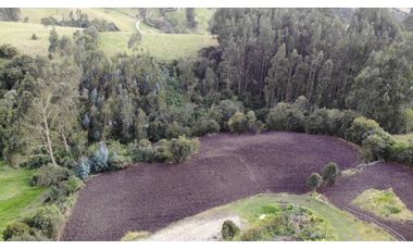 SE VENDE LOTE DE TERRENO EN EL PUYON VEREDA SAN JORGE