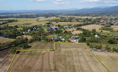 Land for sale in Rong Wua Daeng, Chiang Mai